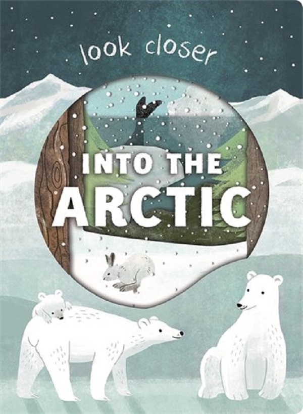 Бумажная книга «Into the Arctic», автор Роджер Придди - фото №1
