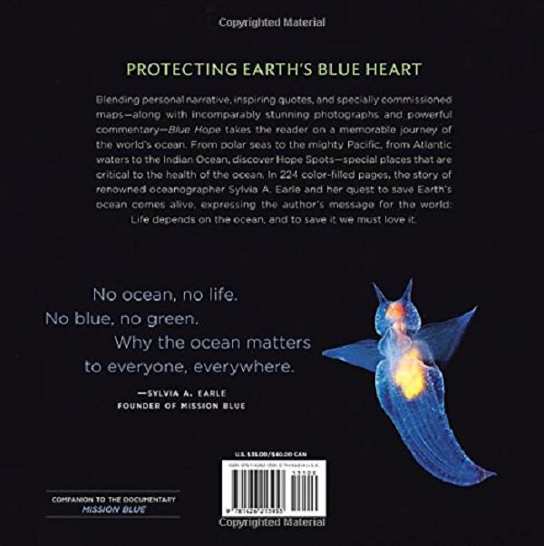 Бумажная книга «Blue Hope » - фото №1