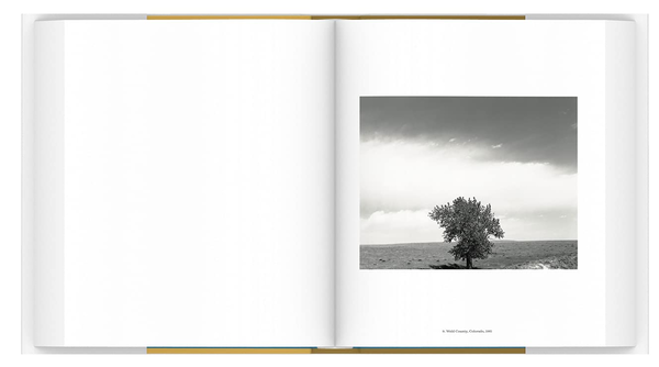 Бумажная книга « American Silence. The Photographs of Robert Adams», автор Сара Гриноу - фото №1
