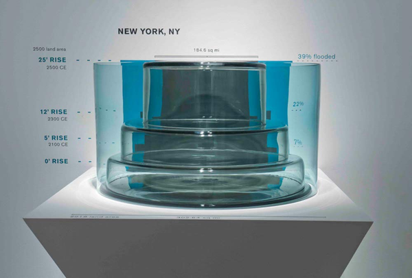 Бумажная книга «Venice and American Studio Glass», авторов Тина Олдноу, Уильям Вармус - фото №1