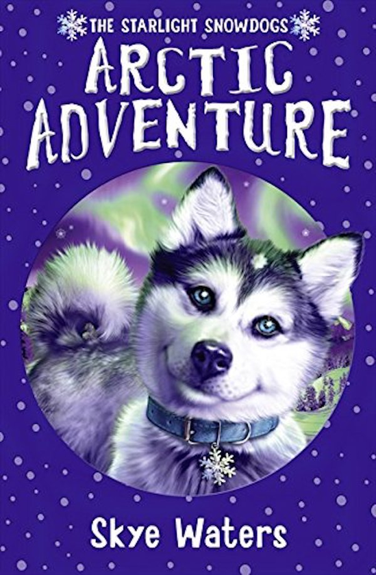 Бумажная книга «Arctic Adventure», автор Скай Уотерс - фото №1