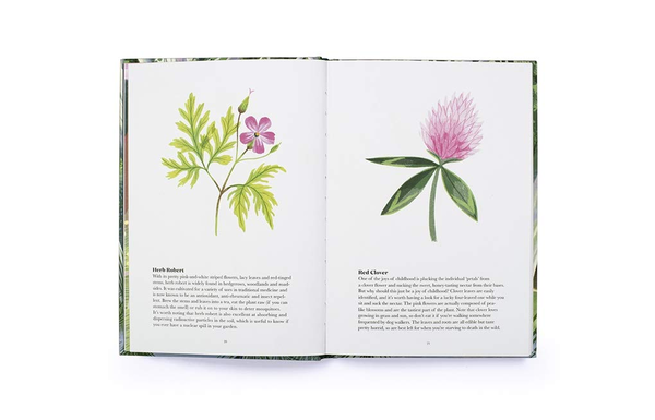Паперова книга «100 Things to do in a Forest», автор Дженніфер Девіс - фото №1