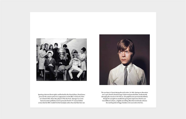 Бумажная книга «David Bowie», автор Роберт Димери - фото №1