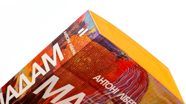 Бумажная книга «Мадам», автор Антони Либера - фото №1
