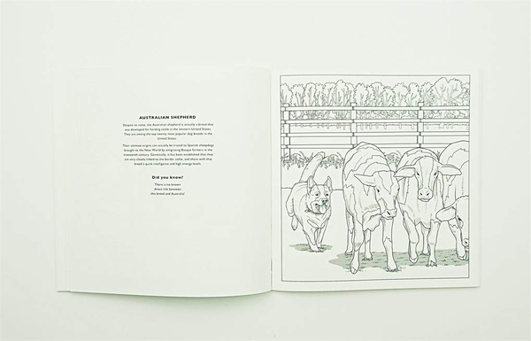 Паперова книга «All About the Dog. A Battersea Dogs & Cats Home Colouring Book» - фото №1