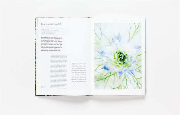 Бумажная книга «Flower Garden», автор Клэр Фостер - фото №1