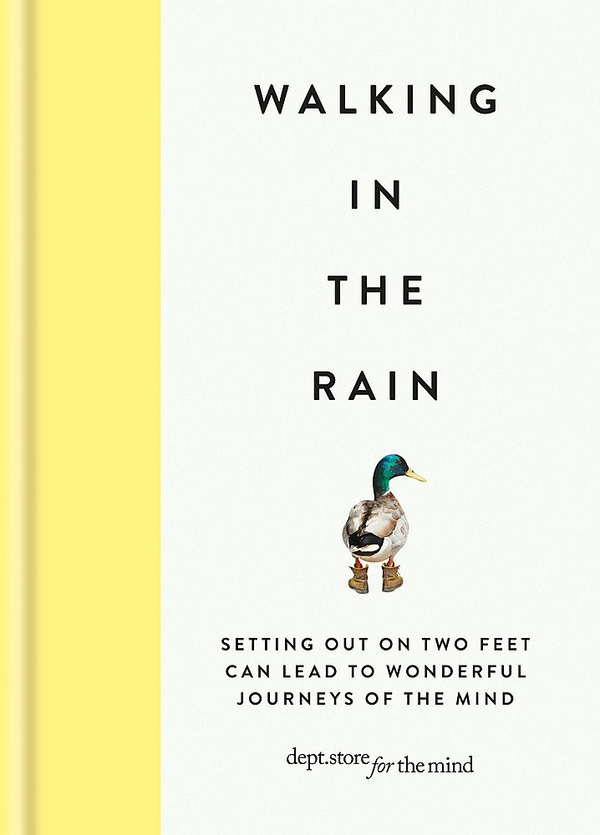 Паперова книга «Walking in the Rain» - фото №1
