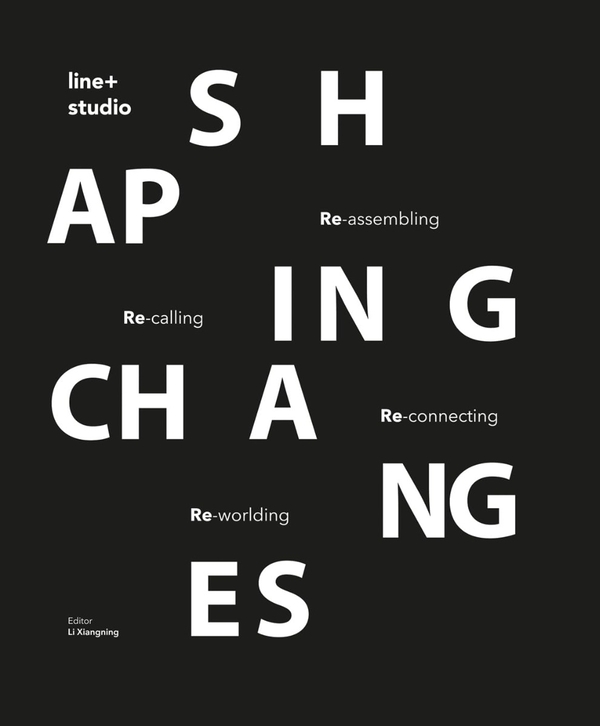 Паперова книга «Shaping Changes» - фото №1