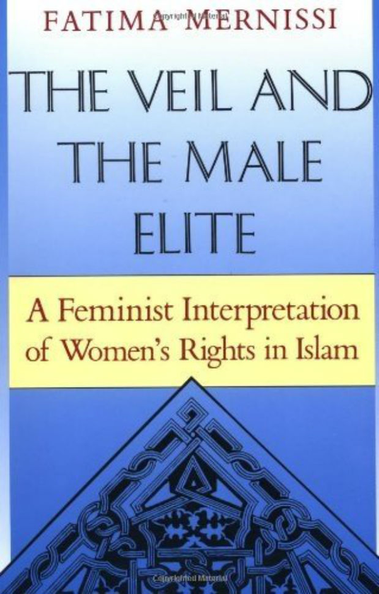 Бумажная книга «The Veil And The Male Elite», автор Фатима Мернисси - фото №1