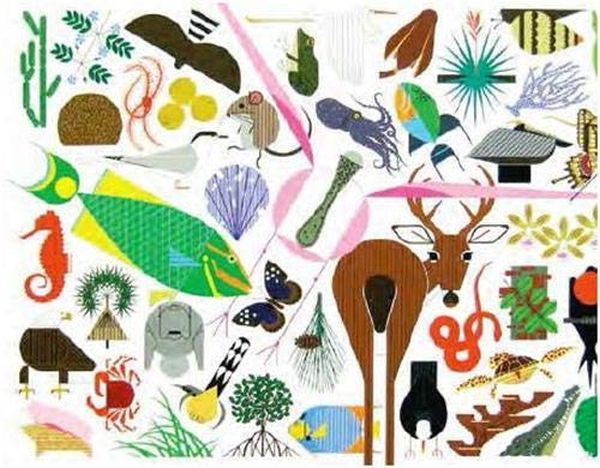 Бумажная книга «Charley Harper's Animal Kingdom», автор Тодд Олдхэм - фото №1