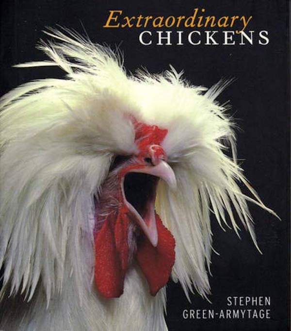 Бумажная книга «Extraordinary Chickens», автор Стивен Грин-Армистейдж - фото №1