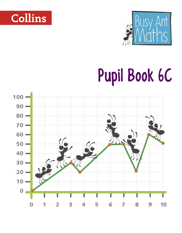 Бумажная книга «Pupil Book 6C» - фото №1