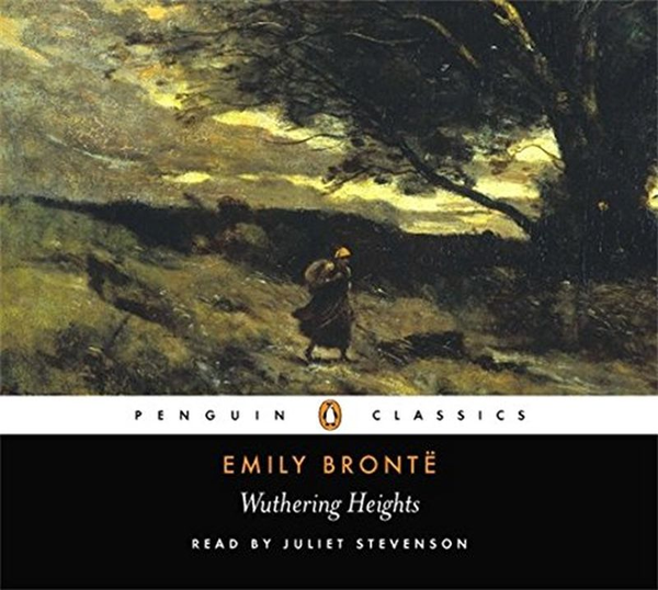 Паперова книга «Wuthering Heights», автор Емілі Бронте - фото №1