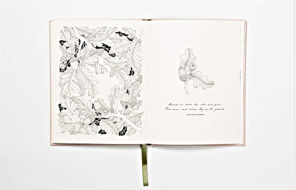 Бумажная книга «The Flower Year.  A Colouring Book», автор Лейла Дьюли - фото №1