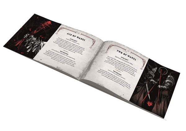 Паперова книга «Diablo. The Sanctuary Tarot Deck and Guidebook», автор Барбара Мур - фото №1