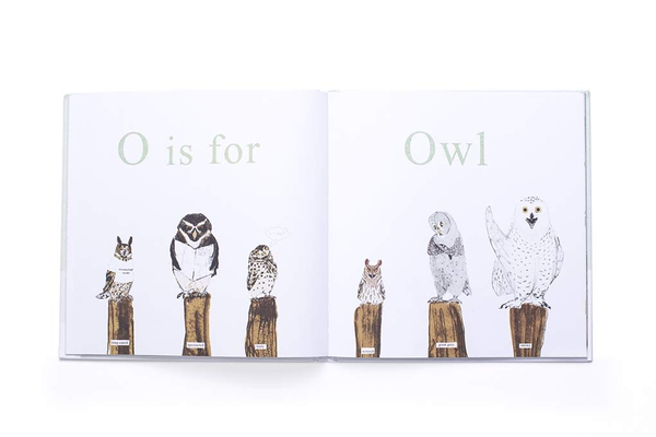 Паперова книга «Almost an Animal Alphabet», автор Кеті Віггерс - фото №1