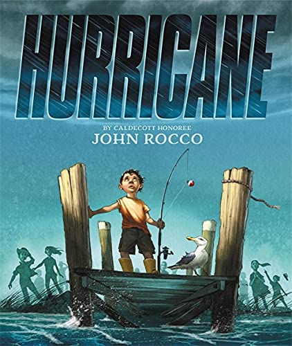 Бумажная книга «Hurricane», автор Джон Рокко - фото №1