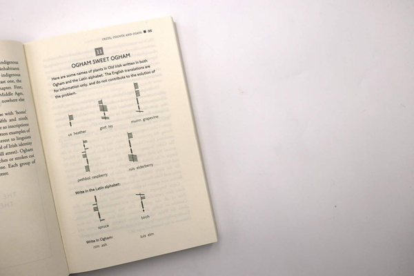 Паперова книга «The Language Lover's Puzzle Book», автор Алекс Беллос - фото №1