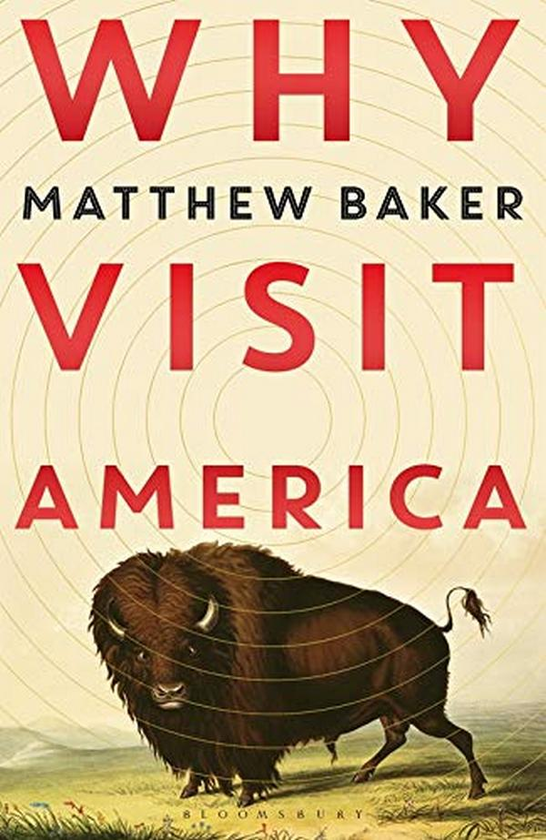 Бумажная книга «Why Visit America», автор Мэттью Бейкер - фото №1