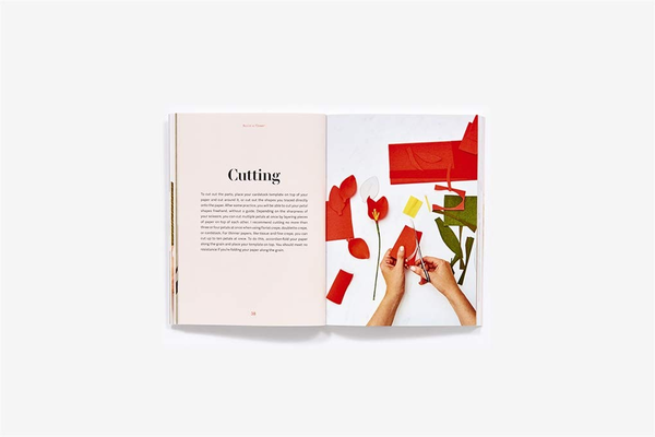 Бумажная книга «Build a Flower. A Beginner's Guide to Paper Flowers», автор Люсия Бальказар - фото №1