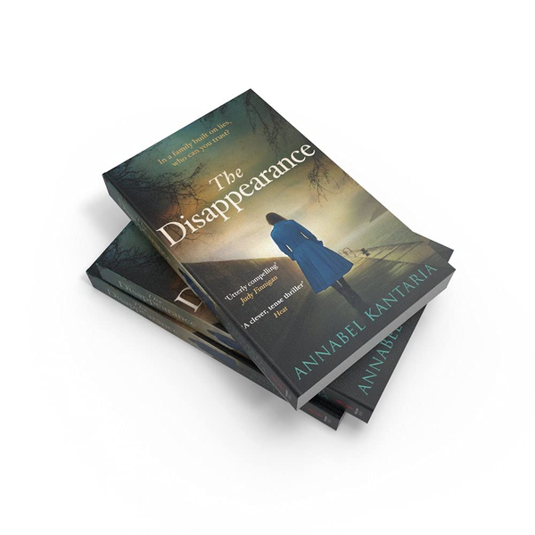 Паперова книга «The Disappearance», автор Аннабель Кантарія - фото №1