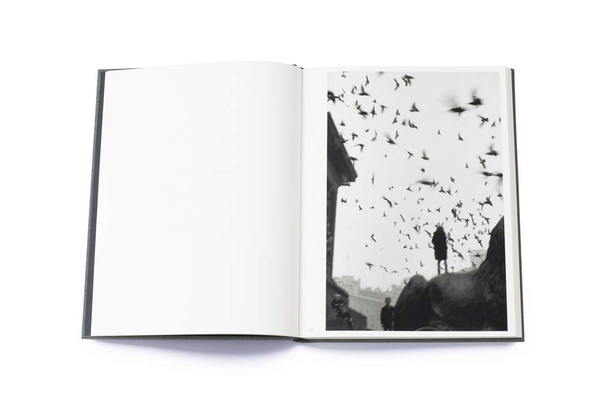 Бумажная книга «Sergio Larrain. London. 1959», автор Роберто Боланьо - фото №1