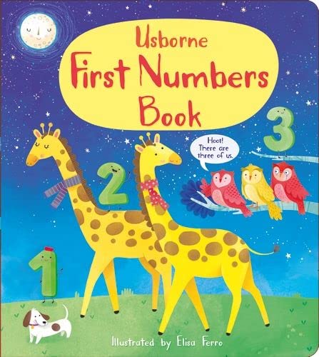[object Object] «First Numbers Book», авторов Мэри Картрайт, Мэтью Олдэм - фото №1