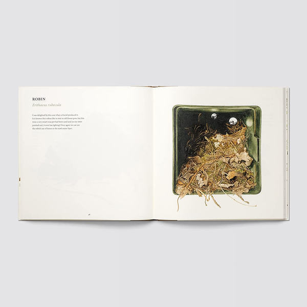 Бумажная книга «Nests», автор Сьюзан Огилви - фото №1
