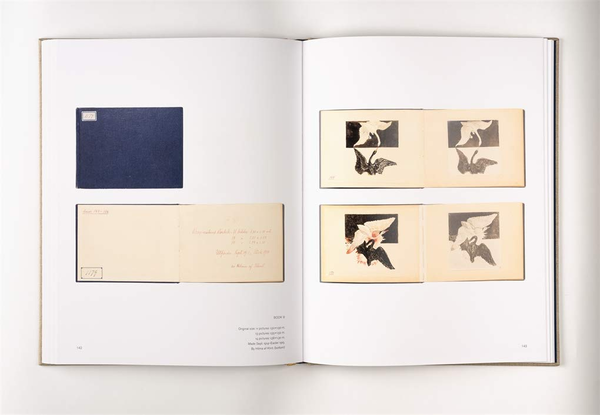 Бумажная книга «Hilma af Klint. The Blue Books. 1906-1915», авторов Даниэль Бирнбаум, Курт Альмквист - фото №1
