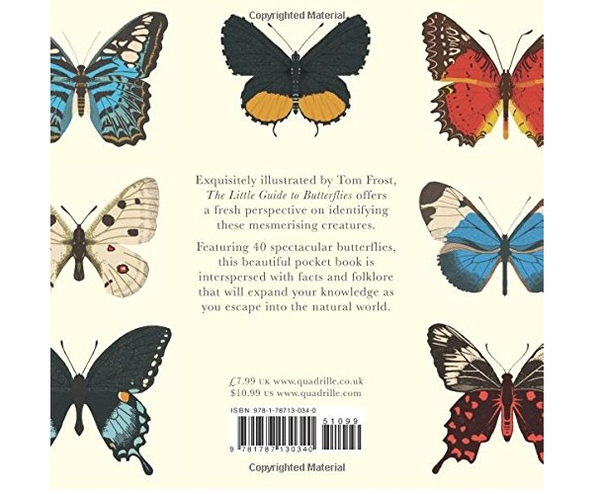 Бумажная книга «The Little Guide to Butterflies» - фото №1