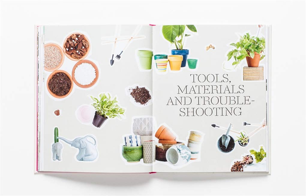 Бумажная книга «How to Raise a Plant: and Make it Love You Back», авторов Морган Доан, Эрин Хардинг - фото №1