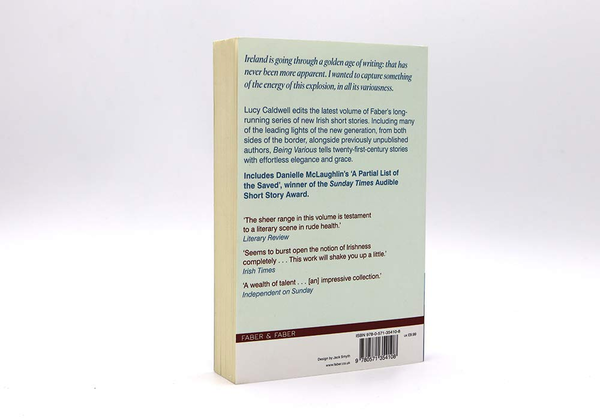 Паперова книга «Being Various. New Irish Short Stories» - фото №1