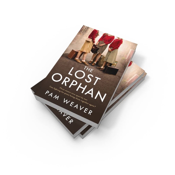 Паперова книга «The Lost Orphan», автор Пем Вівер - фото №1