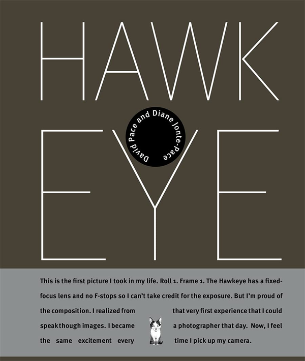 Паперова книга «Hawkeye», автор Дайан Джонте-Пейс - фото №1