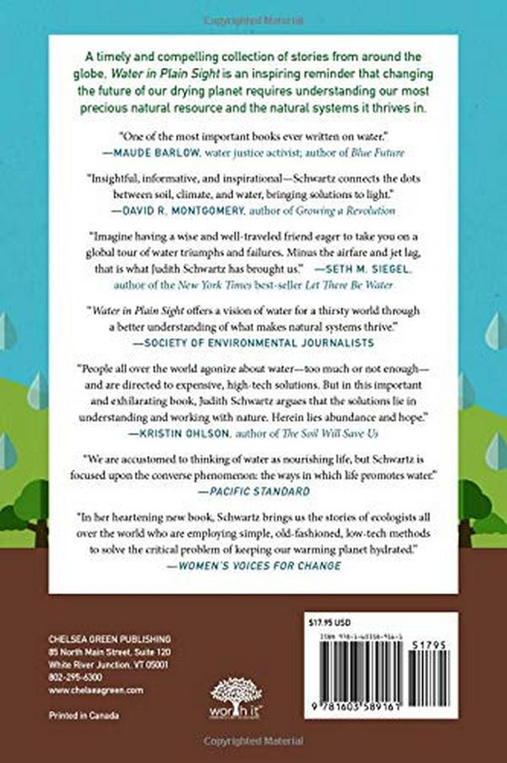 Бумажная книга «Water in Plain Sight. Hope for a Thirsty World», автор Джудит Д. Шварц - фото №1