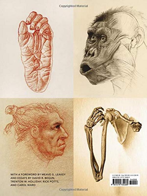 Бумажная книга «Lost Anatomies: The Evolution of the Human Form», автор Джон Гурче - фото №1