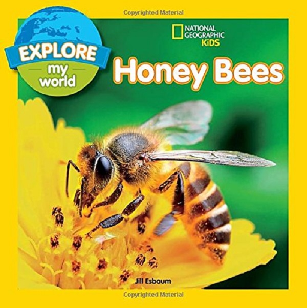 Паперова книга «Explore My World. Honey Bees», автор Джилл Есбаум - фото №1