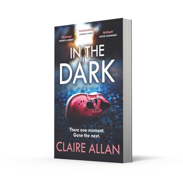 Паперова книга «In The Dark», автор Клер Аллан - фото №1