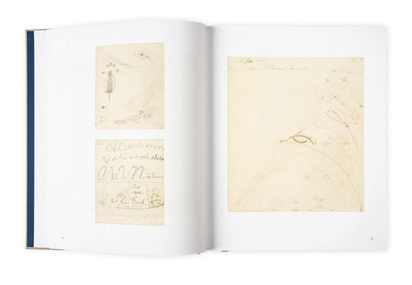 Бумажная книга «Hilma af Klint. Spiritistic Drawings (1896-1905)», авторов Даниэль Бирнбаум, Курт Альмквист - фото №1