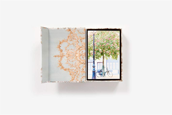 Бумажная книга «Paris in Bloom Notecards», автор Джорджанна Лейн - фото №1