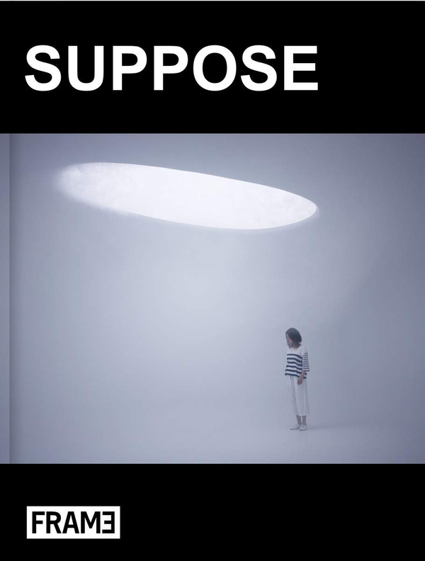 Паперова книга «Suppose», автор Макото Таніджирі - фото №1