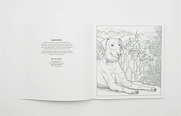 Паперова книга «All About the Dog. A Battersea Dogs & Cats Home Colouring Book» - фото №1
