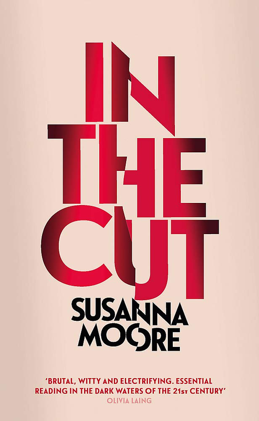 Бумажная книга «In the Cut», автор Сюзанна Мур - фото №1