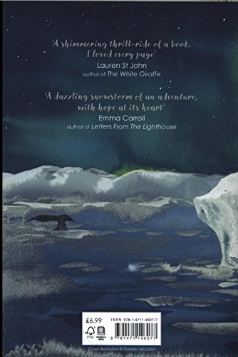 Бумажная книга «Sky Song», автор Аби Эльфинстон - фото №1