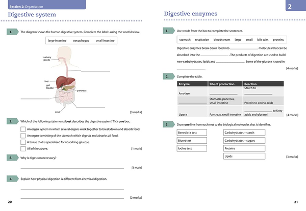 Бумажная книга «AQA GCSE Biology 9-1 Grade 5 Booster Workbook» - фото №1