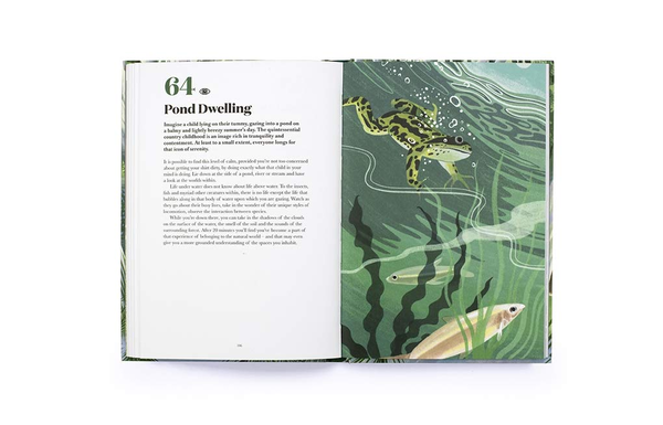 Паперова книга «100 Things to do in a Forest», автор Дженніфер Девіс - фото №1