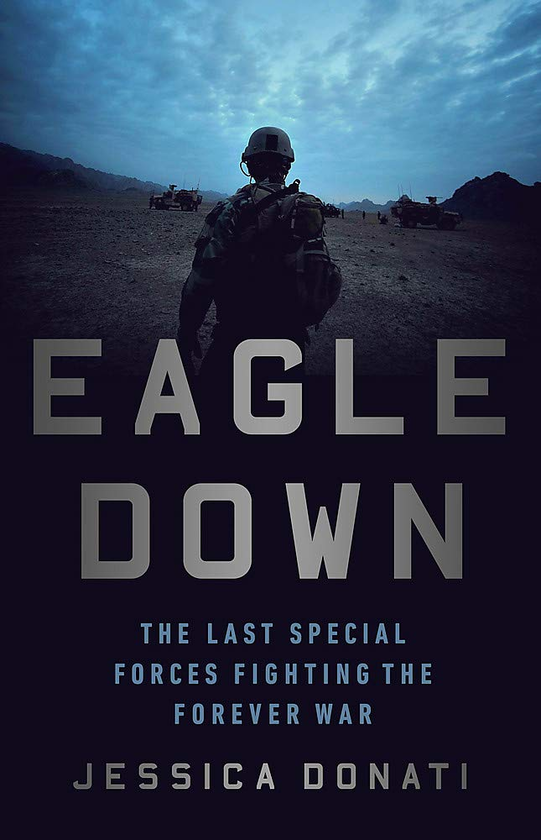 Паперова книга «Eagle Down», автор Джессіка Донаті - фото №1