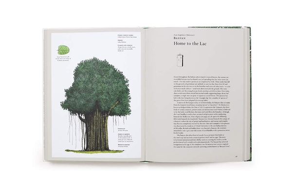Бумажная книга «Story of Trees. And How They Changed the Way We Live», авторов Дэвид Уэст, Кевин Хоббс - фото №1