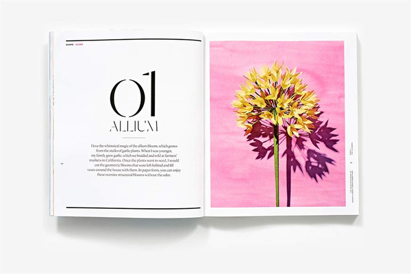 Бумажная книга «The Exquisite Book of Paper Flower Transformations», автор Ливия Четти - фото №1