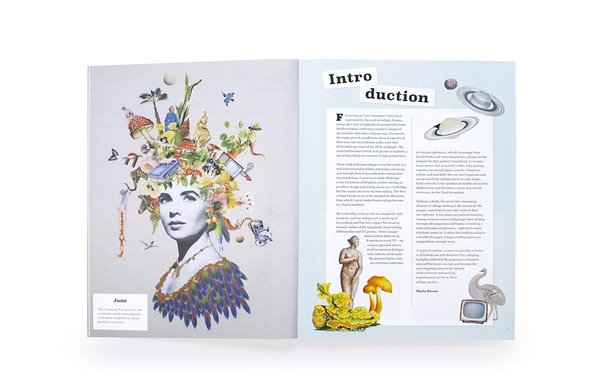 Бумажная книга «Extraordinary Things to Cut Out and Collage», автор Мария Риванс - фото №1